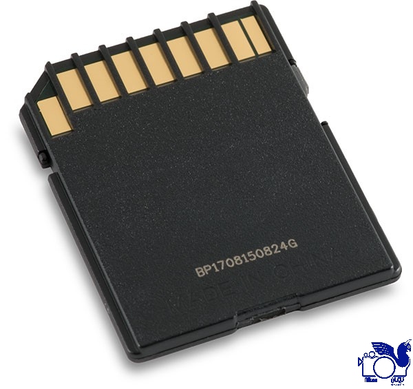 SDHC SANDISK Extreme Pro V30 32GB — تصویر ۸