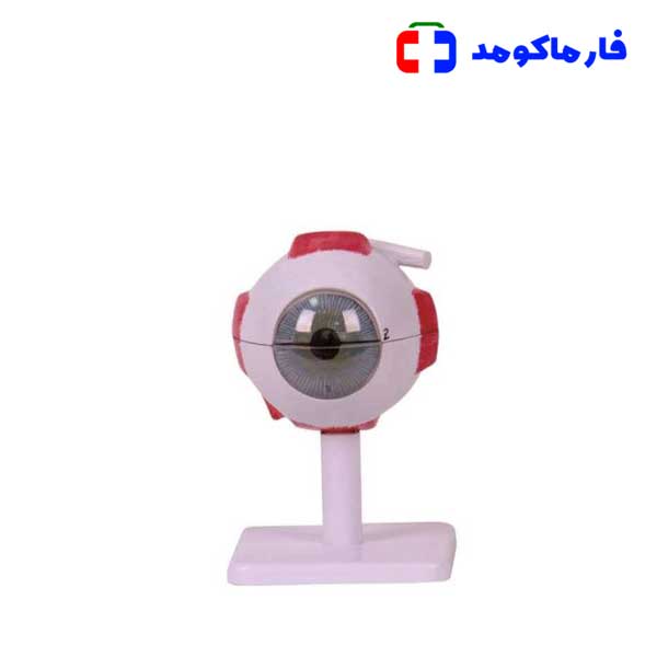 مولاژ چشم 10 برابر — تصویر ۲