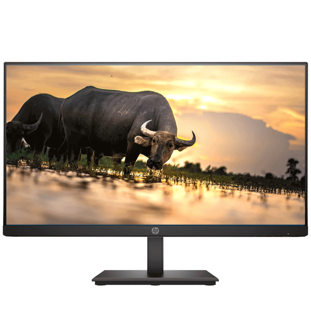 مانیتور استوک HP مدل P244 سایز 24 اینچ