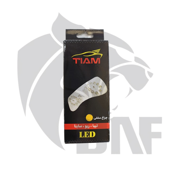 چراغ سقف یخی خودرو تیبا — تصویر ۲