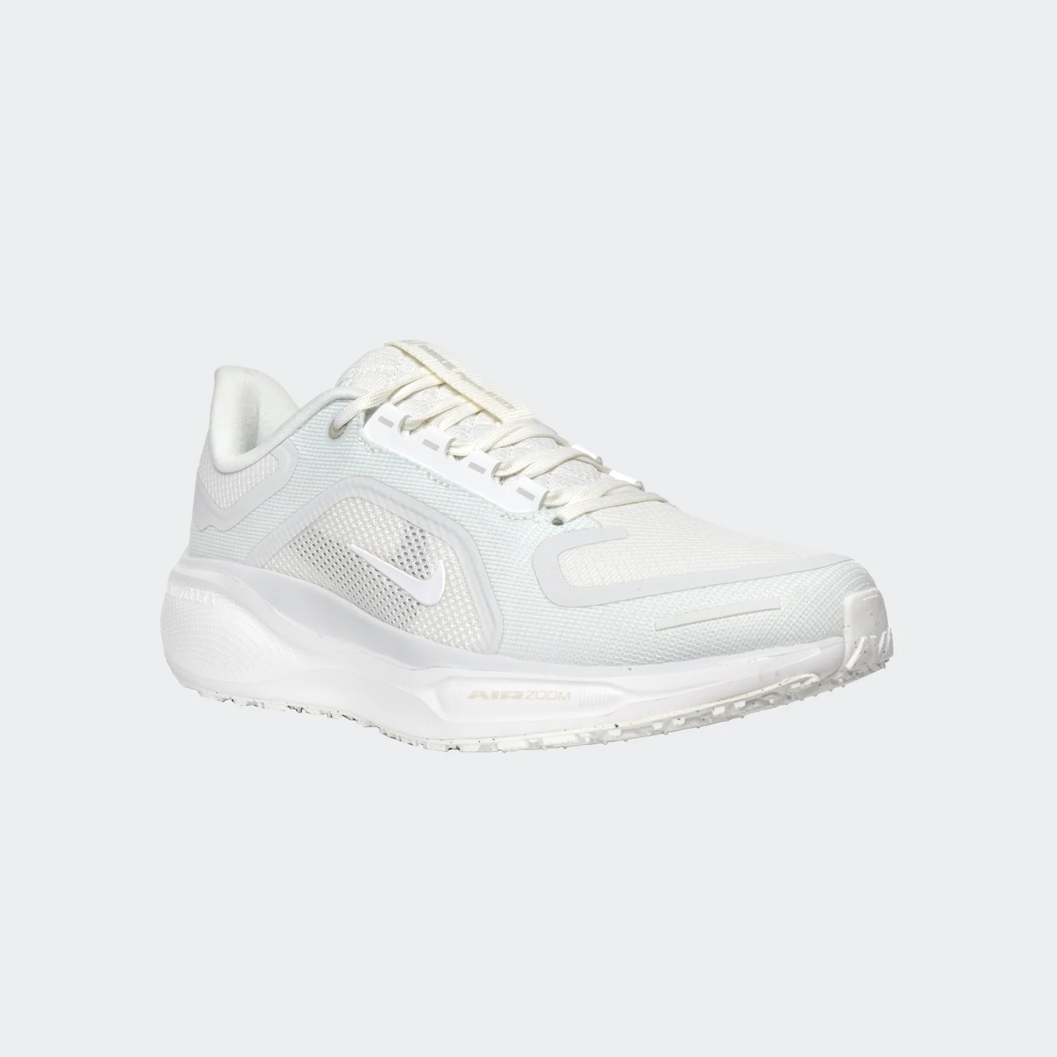 کفش رانینگ مردانه نایکی مدل Pegasus 41 GORE-TEX