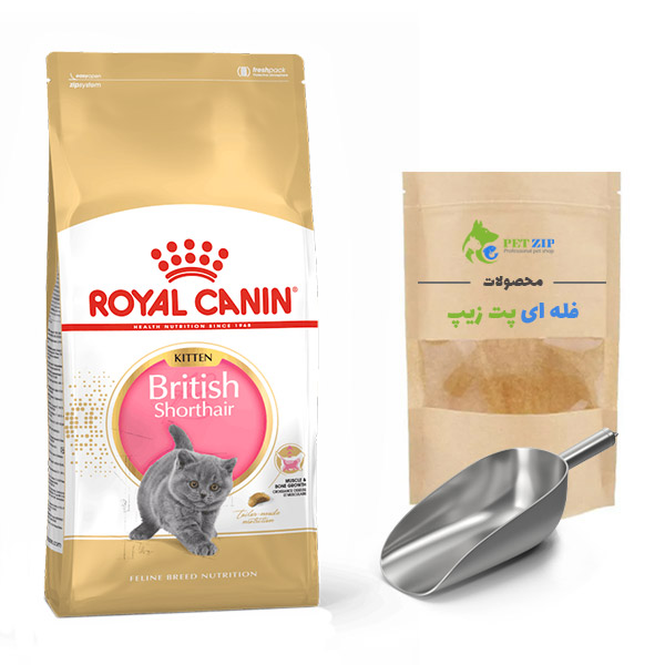 غذای خشک فله ای کیتن بریتیش British Kitten رویال کنین — تصویر ۲