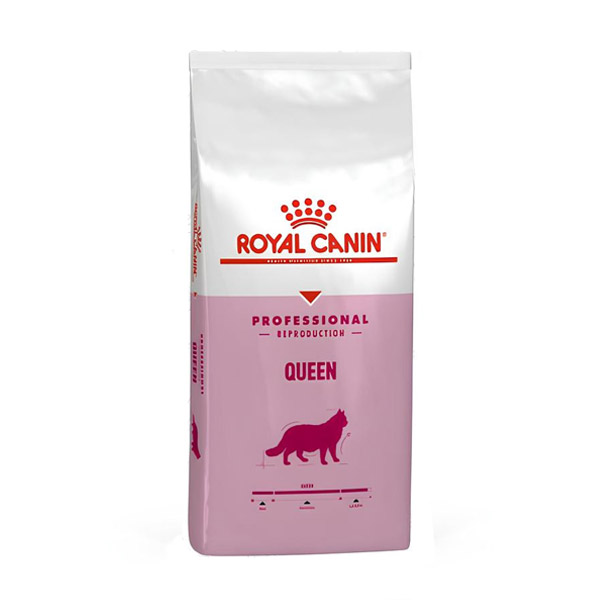 غذای گربه باردار کویین رویال کنین Pro Queen