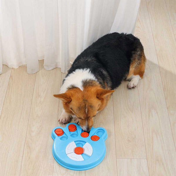 بازی سگ داروین ایزی ام پتس – M Pets Darwin Easy — تصویر ۴