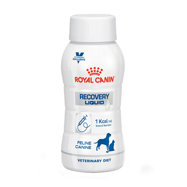 لیکویید ریکاوری سگ و گربه رویال کنین Recovery liquid — تصویر ۲