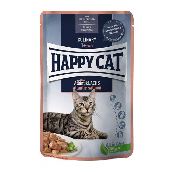 پوچ گربه با طعم سالمون در سس هپی کت – Happy Cat Atlantic Salmon