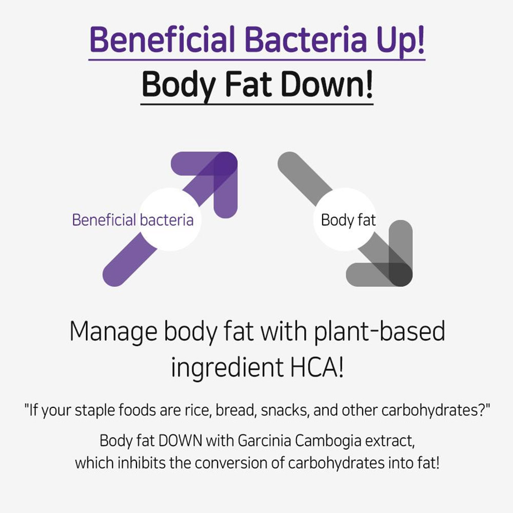 مکمل خوراکی بنفش لاکتوفیت مدل دایت، کنترل وزن و رژیم غذایی LACTO-FIT Probiotics Diet — تصویر ۵