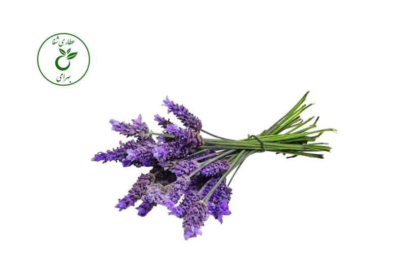 گل اسطوخودوس 50 گرمی — تصویر ۲