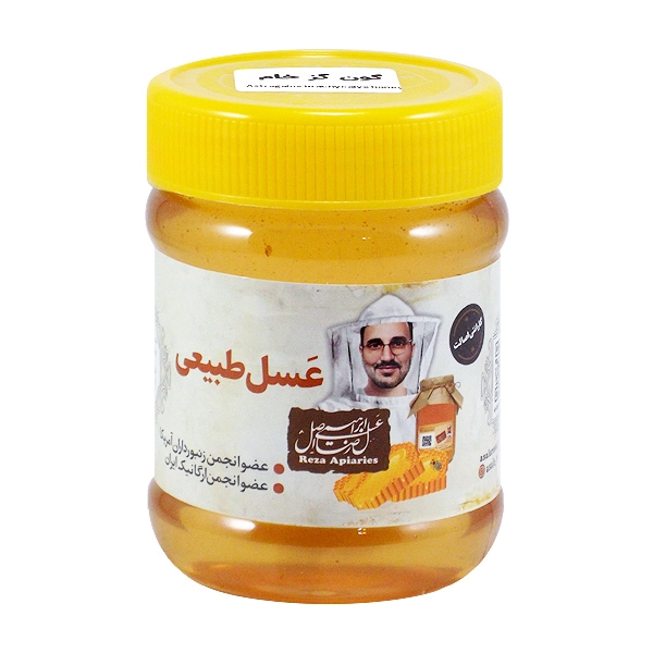 خرید عسل گون گز خام 470 گرم — تصویر ۲