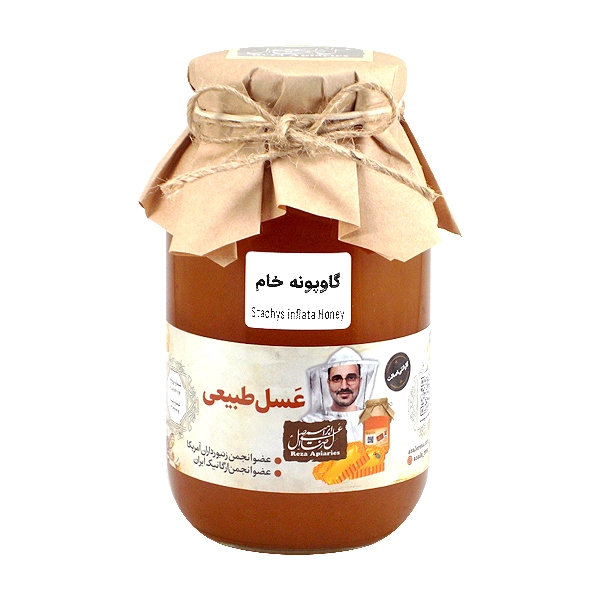 عسل گاوپونه خام 950 گرم — تصویر ۲