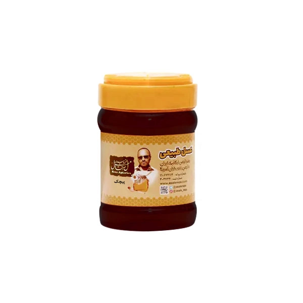 عسل پیچک طبیعی 470 گرم