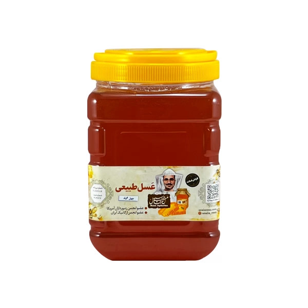 عسل چهل گیاه طبیعی 3 کیلو — تصویر ۲