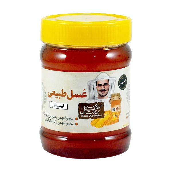 عسل آویشن طبیعی البرز 470 گرم — تصویر ۲