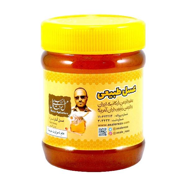 خرید عسل کنار خام رضا 470 گرم — تصویر ۲