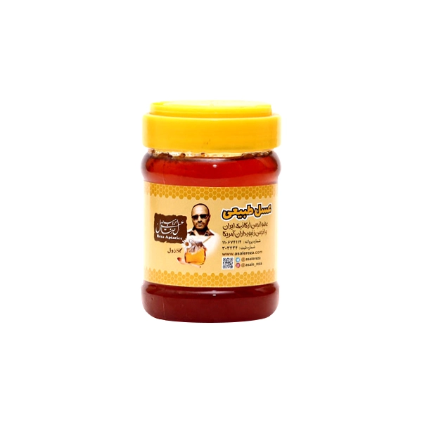 عسل گون زول طبیعی 470 گرم