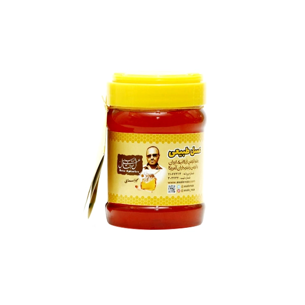 عسل سماق طبیعی 470 گرم — تصویر ۲