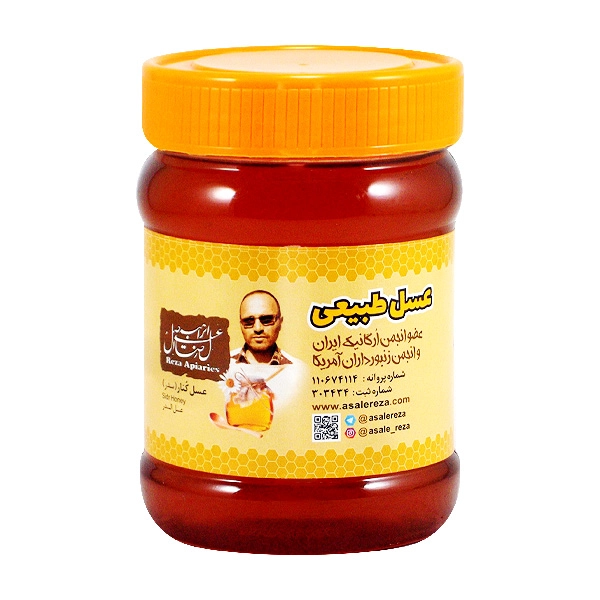 عسل طبیعی کنار 470 گرم — تصویر ۲