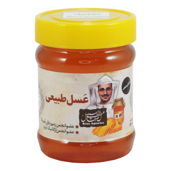 عسل مشکورک خام 470 گرم — تصویر ۲