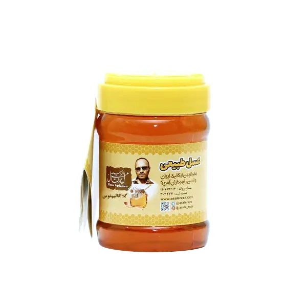 عسل اکالیپتوس طبیعی 470 گرم — تصویر ۲