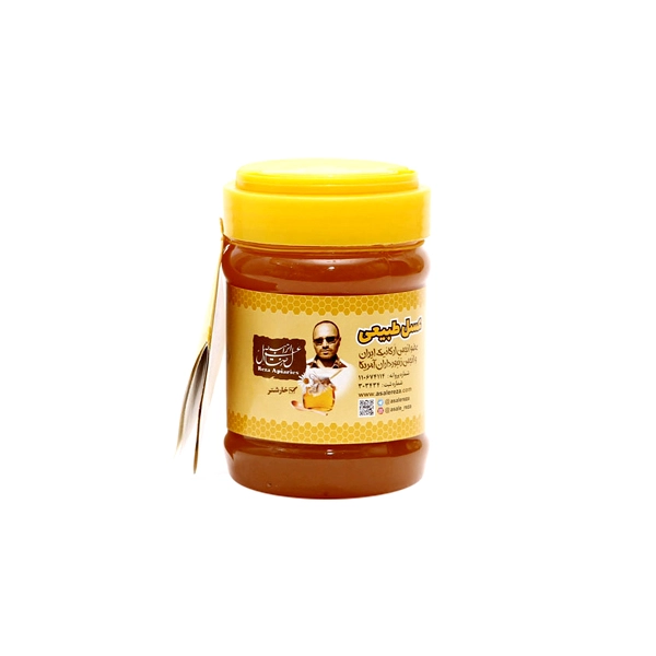 عسل خارشتر طبیعی 470 گرم — تصویر ۳