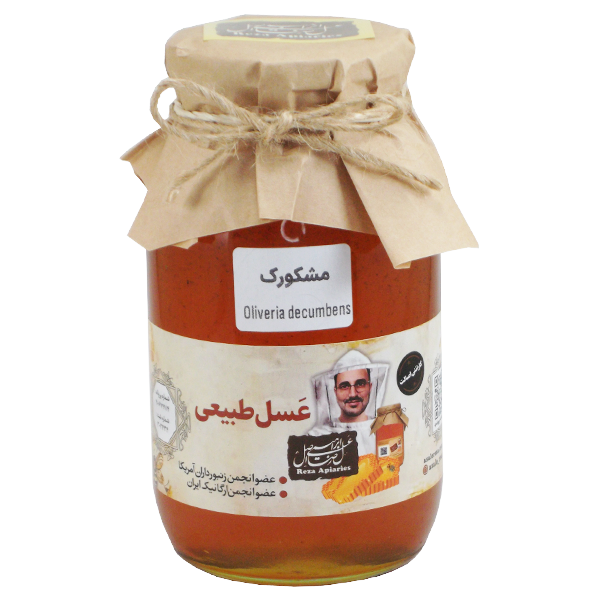 عسل مشکورک خام 950 گرم — تصویر ۲
