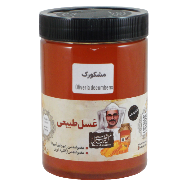 عسل مشکورک خام 950 گرم — تصویر ۵