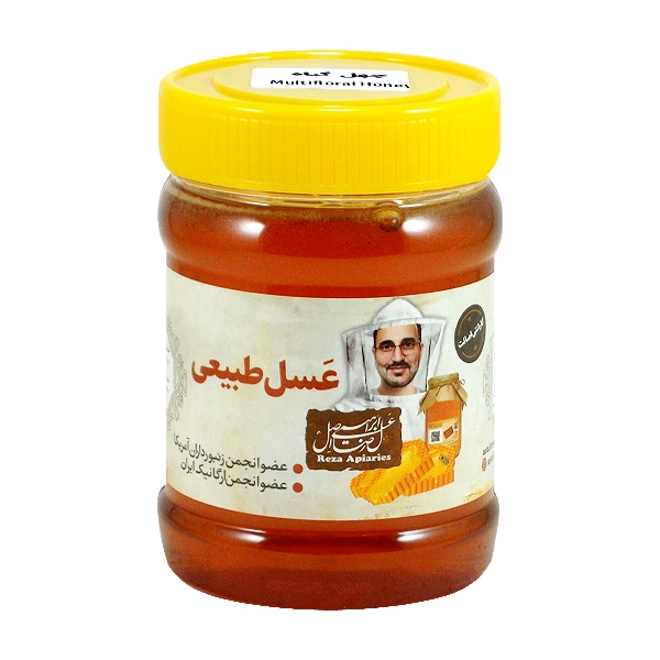 عسل چهل گیاه طبیعی 470 گرم