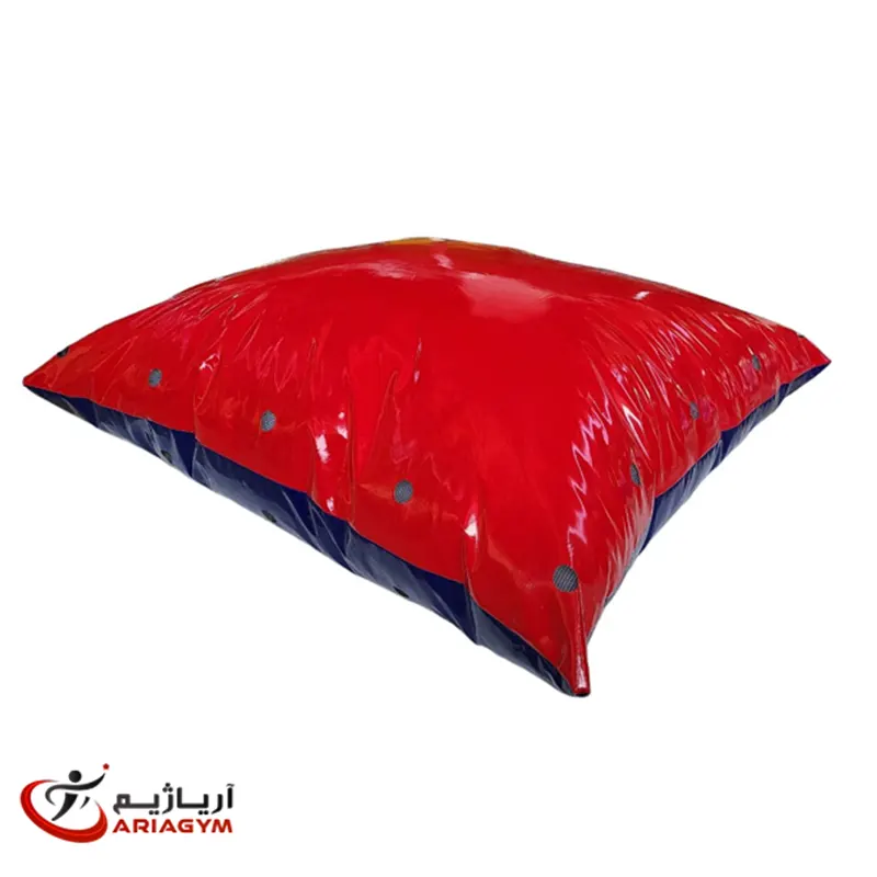 کوسن بالشتی پنبه ای آریاژیم — تصویر ۲