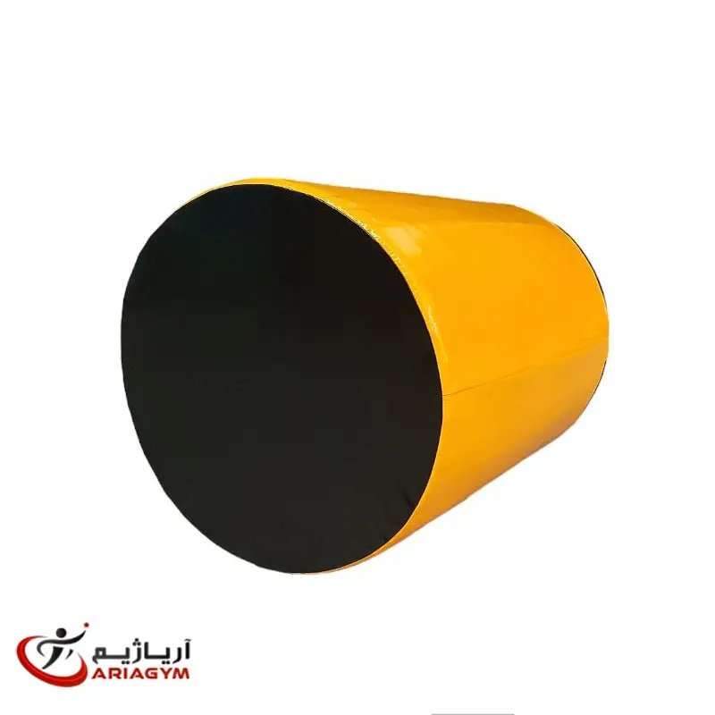 استوانه ژیمناستیک 70*100 — تصویر ۲