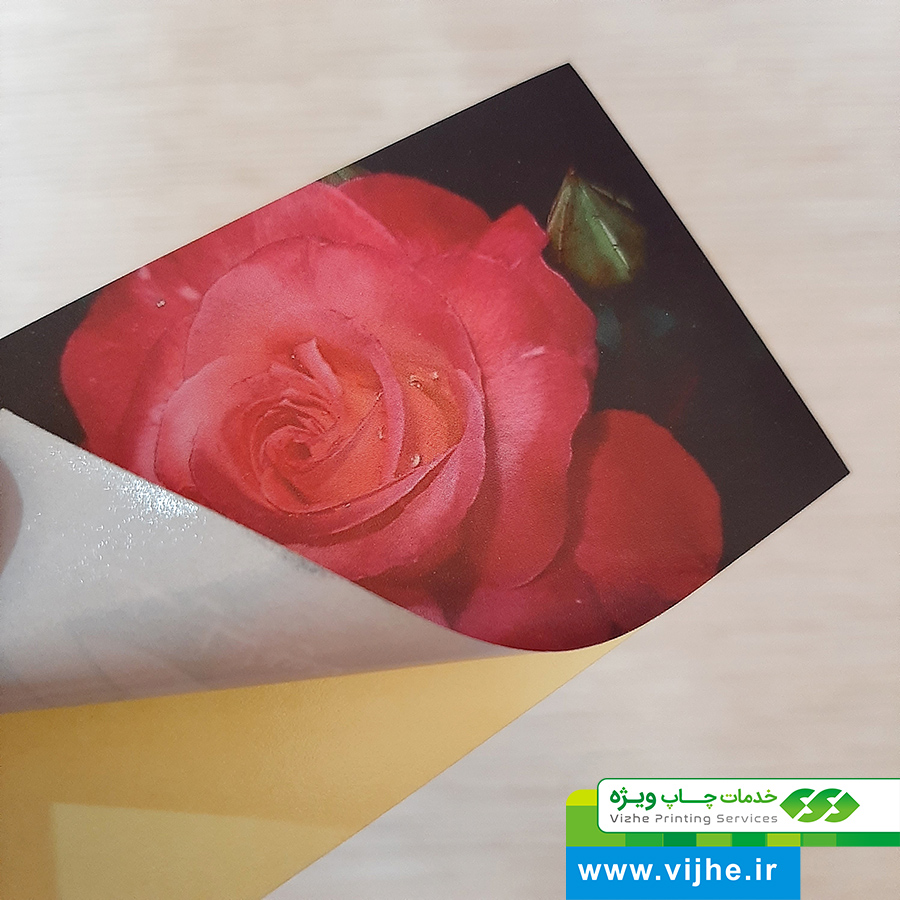 لیبل کاغذی سلفون مات — تصویر ۴