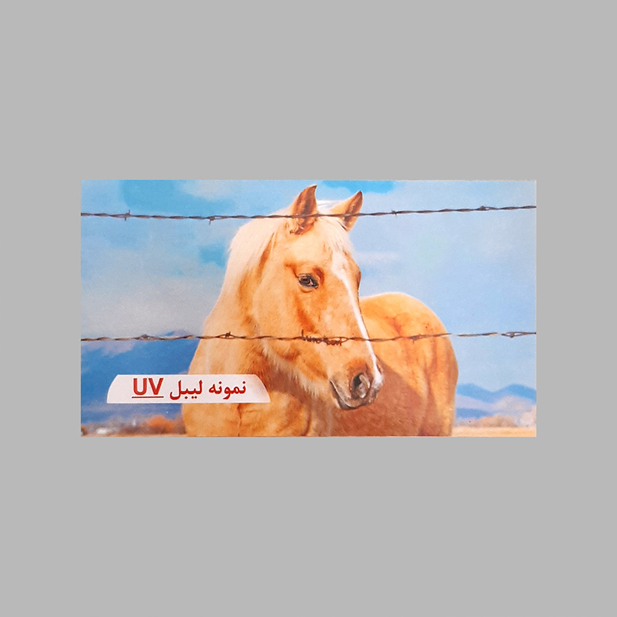 لیبل کاغذی با روکش UV — تصویر ۲