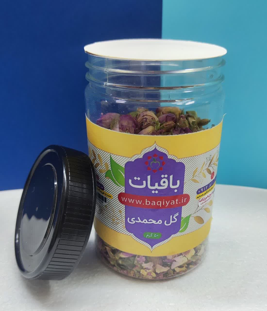 غنچه گل محمدی — تصویر ۲