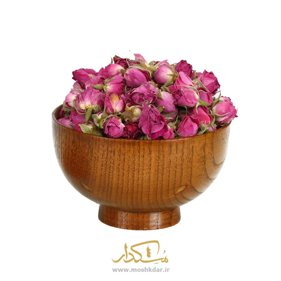 غنچه گل محمدی — تصویر ۳