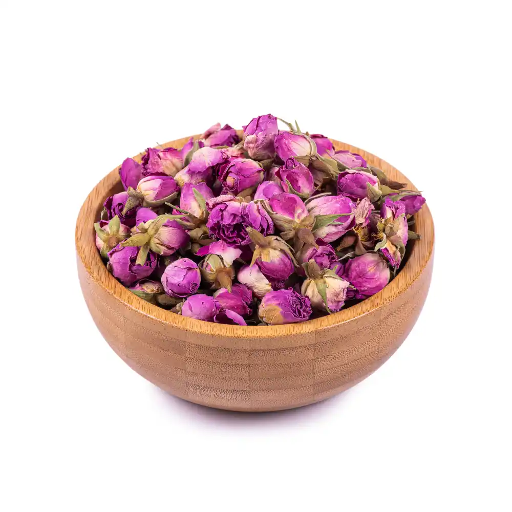 غنچه گل محمدی — تصویر ۶