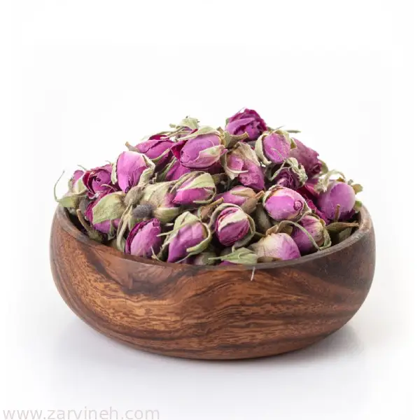 غنچه گل محمدی — تصویر ۴