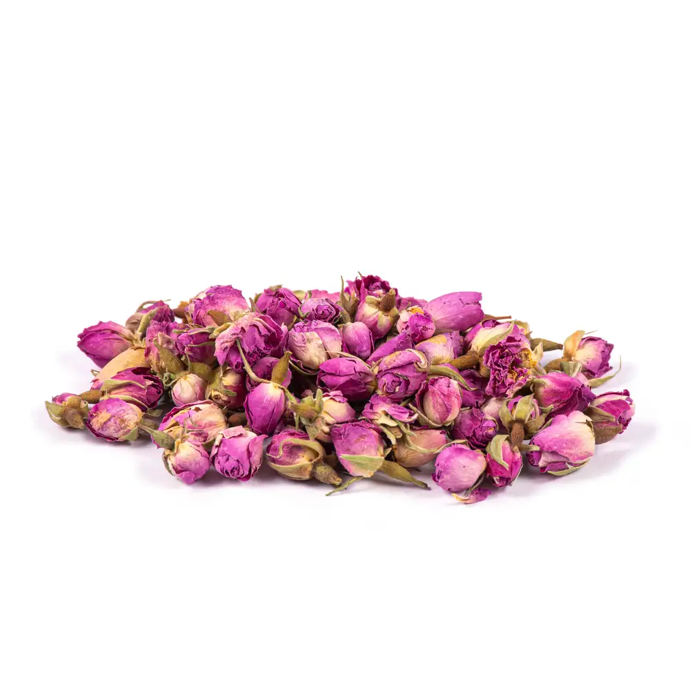 غنچه گل محمدی — تصویر ۵