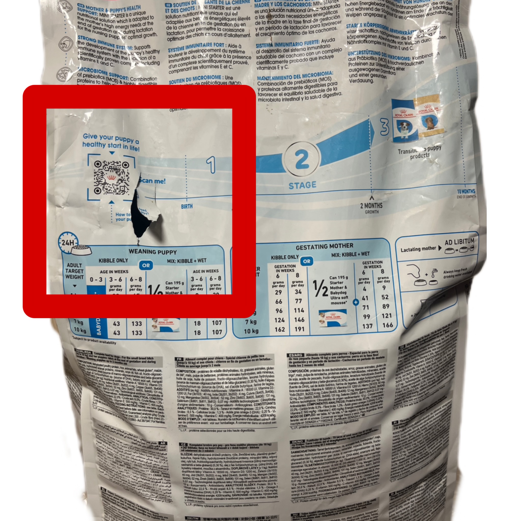 غذای خشک توله سگ رویال کنین مینی استارتر ROYAL CANIN MINI STARTER 4KG(مخدوش) — تصویر ۳