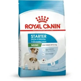 غذای خشک توله سگ رویال کنین مینی استارتر ROYAL CANIN MINI STARTER 4KG(مخدوش)