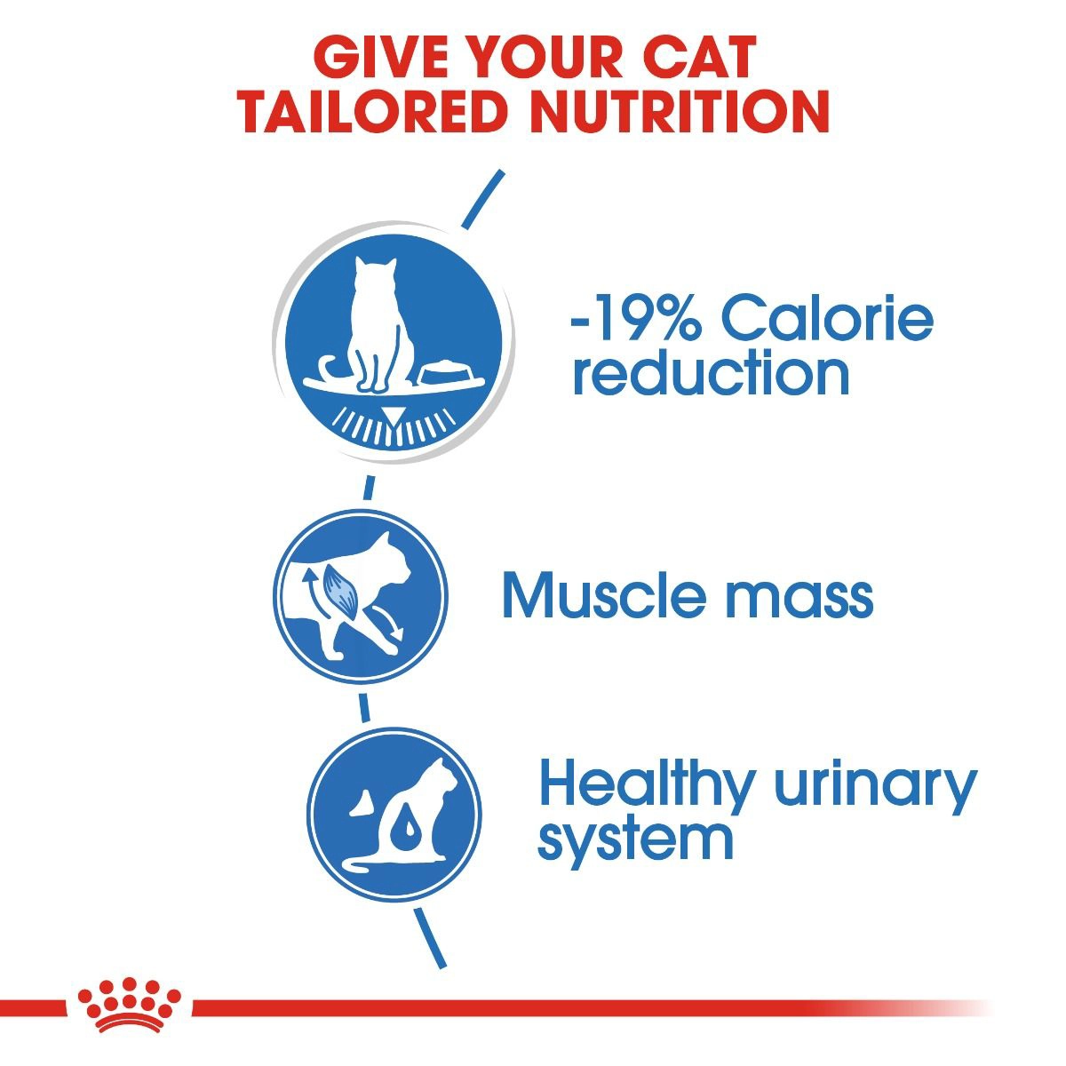 غذای پوچ سگ رویال کنین لایت ویت کر ROYAL CANIN LIGHT WEIGHT CARE 85G — تصویر ۴