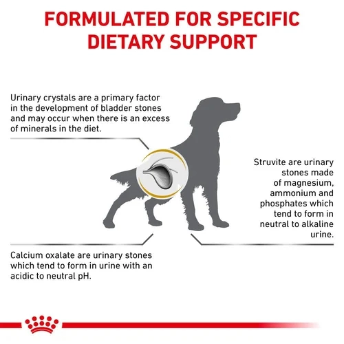غذای درمانی سگ رویال کنین یورینری اس.او نژاد کوچک ROYAL CANIN URINARY S/O SMALL DOGS 4KG — تصویر ۵