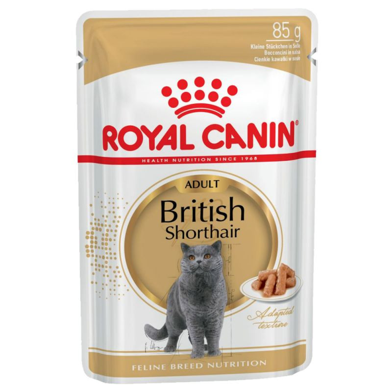 غذای پوچ گربه رویال کنین بریتیش گروی ROYAL CANIN BRITISH SHORTHAIR GARVY 85G