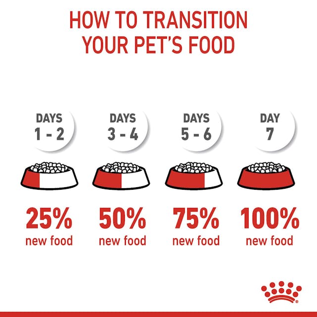 غذای خشک گربه رویال کنین استرلایزد +7 ROYAL CANIN STERILISED 3/5 KG — تصویر ۴