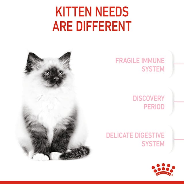 غذای خشک بچه گربه رویال کنین کیتن ROYAL CANIN KITTEN 10KG — تصویر ۵