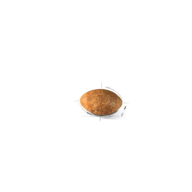 غذای خشک گربه رویال کنین پرشین ادالت ROYAL CANIN PERSIAN ADULT 400G — تصویر ۳