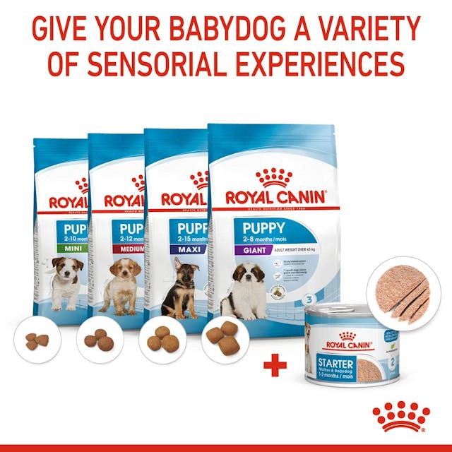 کنسرو توله سگ رویال کنین استارتر ROYAL CANIN STARTER MOUSSE 195G — تصویر ۷