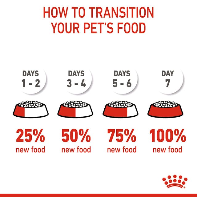 غذای خشک سگ رویال کنین ایکس اسمال ادالت ROYAL CANIN XSMALL ADULT 1/5KG — تصویر ۴