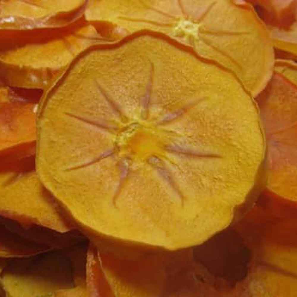 خرمالو خشک