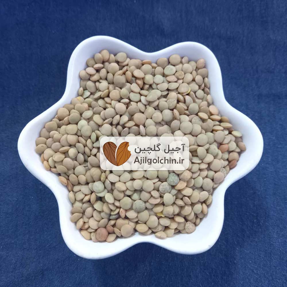 عدس درشت — تصویر ۲