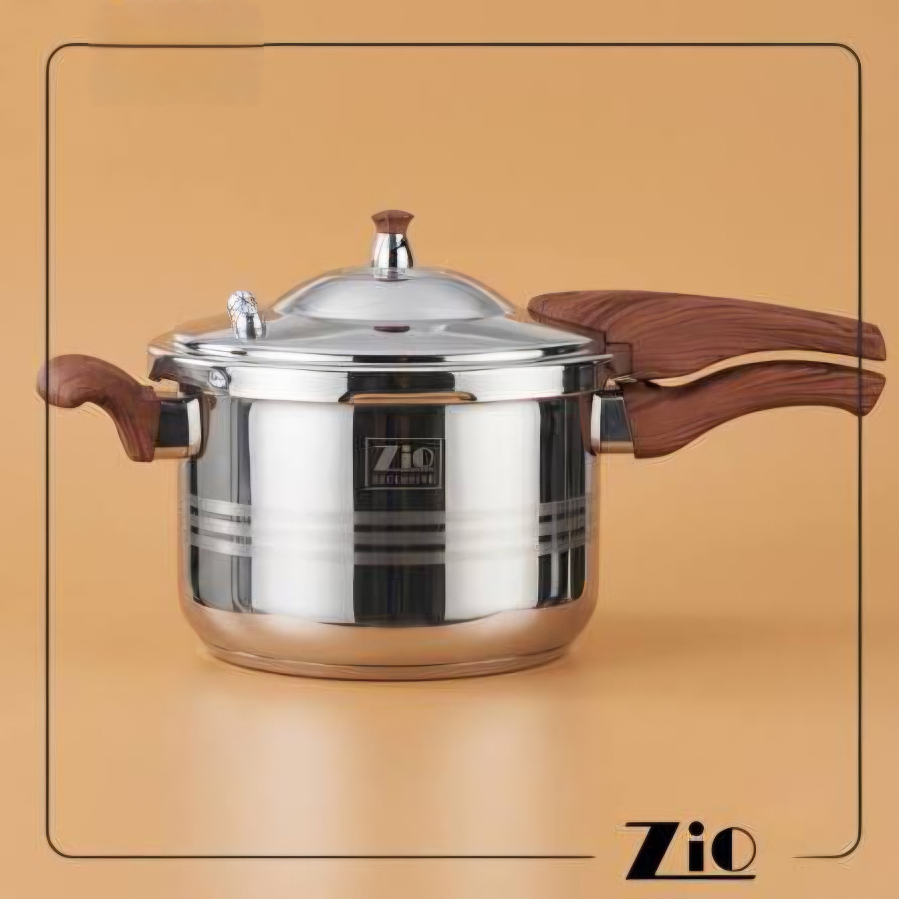زودپز روگازی 9 لیتر زیو مدل ZPC-1603/L09