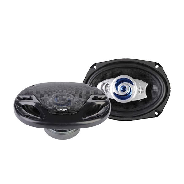بلندگوی ساووی مدل SV-6950 — تصویر ۲